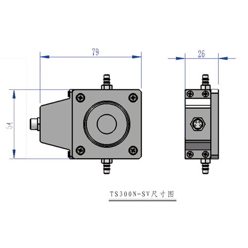 TS300N-SV-2.1.png